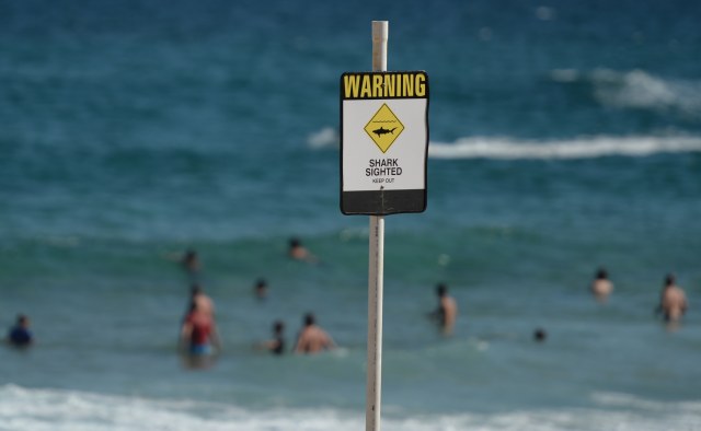 Rambu bahaya hiu di pantai (Foto: AFP/Peter Parks )