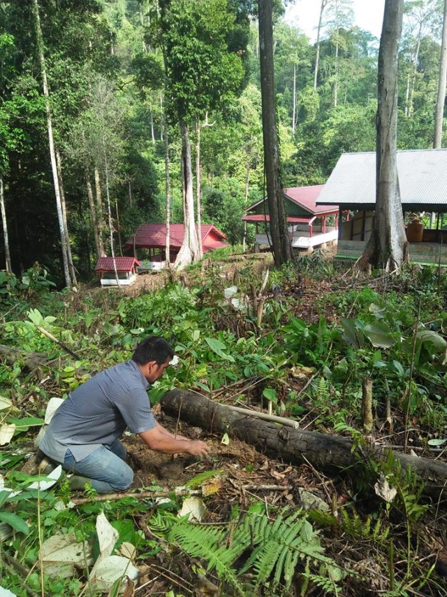 Kondisi makam pahlawan nasional Cut Nyak Meutia yang berada kawasan pelosok hutan Aceh Utara. (Foto: Dok. Istimewa)