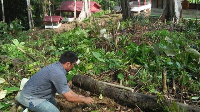 Pembukaan jalan ke makam Cut Meutia. (Foto: Dok. Istimewa)