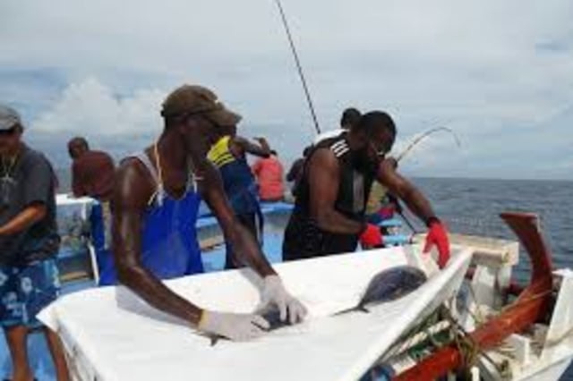 Ikan-Ikan di PNG: Mau kemana paska OOC 2018? (3)