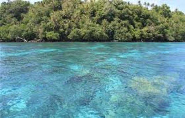Ikan-Ikan di PNG: Mau kemana paska OOC 2018? (4)