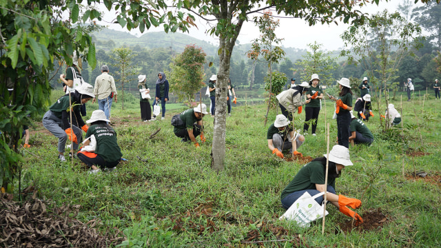 Innisfree Indonesia dan WWF tanam 6000 ribu pohon di Aliran Sungai Ciliwung. (Foto: Dok. amore Pacific)