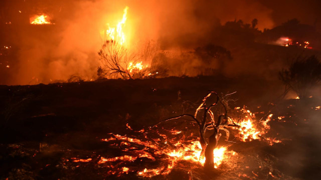 Kebakaran di California, Amerika Serikat. (Foto: AFP/Robyn Beck)