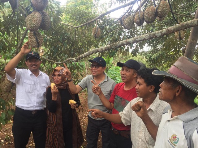Direktur Jenderal Hortikultuta, Suwandi menghadiri acara panen dan lomba durian lokal di Kemranjen (Foto: Kementan)