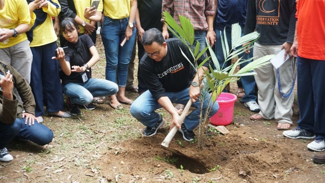 Gubernur DKI Jakarta Anies Baswedan menanam pohon di perayaan hari Ciliwung yang ke 7, Minggu (11/11/2018). (Foto: Iqbal Firdaus/kumparan)