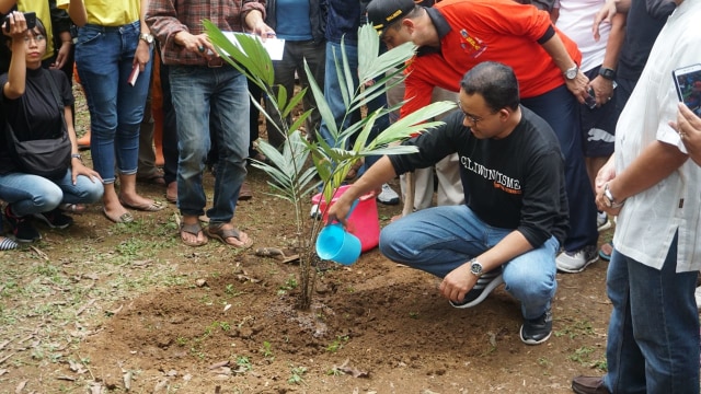Gubernur DKI Jakarta Anies Baswedan menyiram pohon di perayaan hari Ciliwung yang ke 7, Minggu (11/11/2018). (Foto: Iqbal Firdaus/kumparan)
