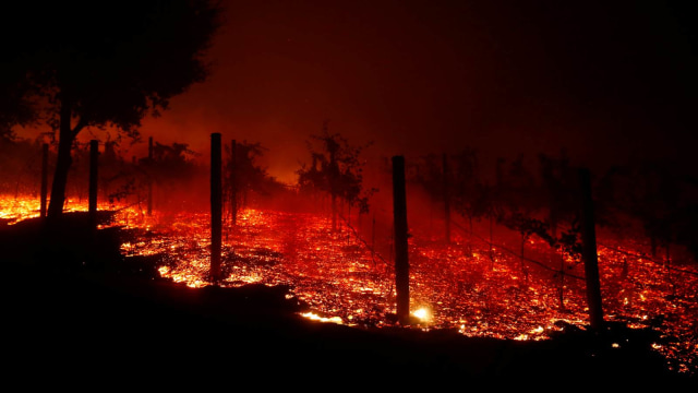Kebakaran lahan di California, AS. (Foto: REUTERS/Eric Thayer)