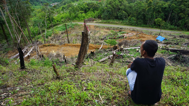 Menilik Jejak Masa Depan Harimau Sumatera di Hutan Aceh. (Foto: Zuhri Noviandi/kumparan)