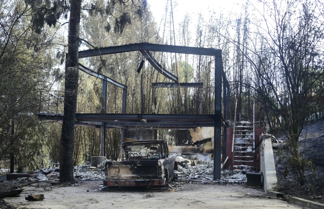 Sisa kebakaran hutan di California (Foto: AFP/ Frederic J. Brown)