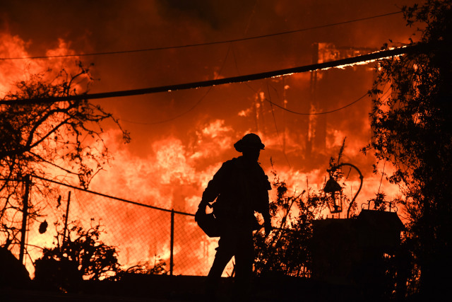 Kebakaran hutan di California (Foto: AFP/Robyn Beck)