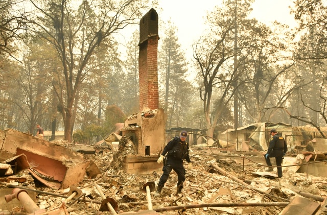 Sisa kebakaran hutan di California (Foto: AFP/Josh Edelson)