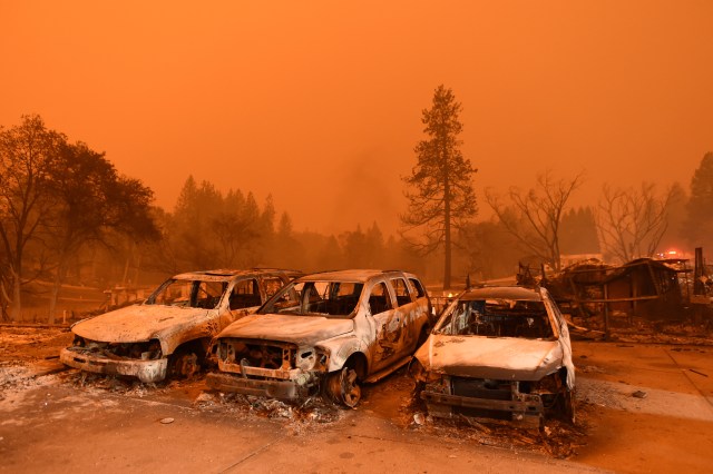 Kebakaran hutan di California (Foto: AFP/Josh Edelson)