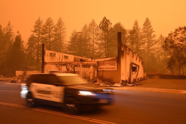 Kebakaran hutan di California, AS (Foto: AFP/Josh Edelson)