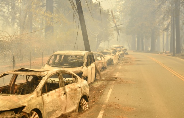 Kebakaran hutan di California, AS (Foto: AFP/Josh Edelson)