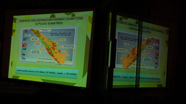 Sebaran dan kepadatan Harimau Sumatera di Aceh. (Foto: Zuhri Noviandi/kumparan)