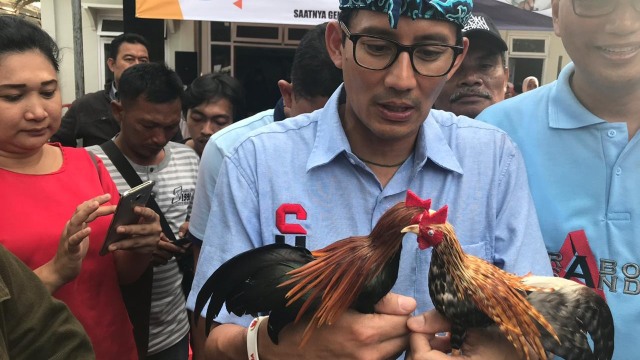 Calon Wakil Presiden Sandiaga Salahudin Uno beli ayam-ayaman di Purwakarta. (Foto: Dok. Media Sandi)