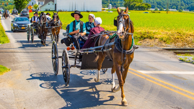 Masyarakat Amish menggunakan kendaraan tradisional (Foto: Shutter Stock)