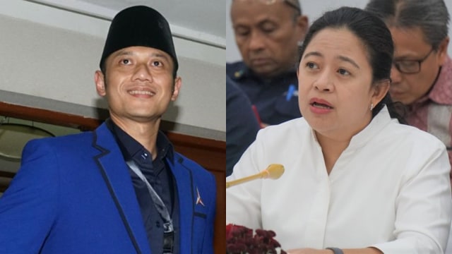 Agus Harimurti Yudhoyono dan Puan Maharani Foto: Helmi Afandi, Nugroho Sejati/kumparan