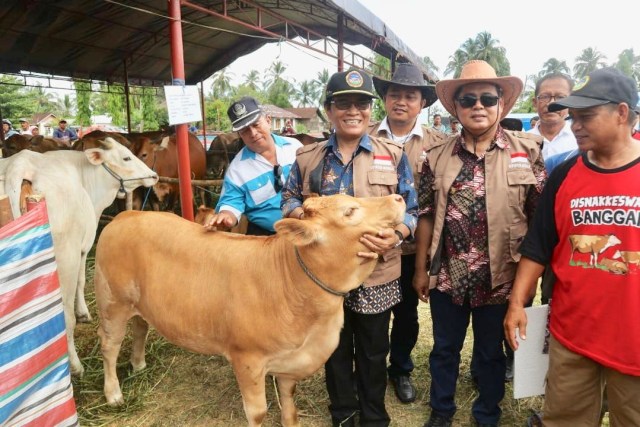Direktur Jenderal Peternakan dan Kesehatan Hewan, Kementan, I Ketut Diarmita saat menghadiri Gebyar SIWAB dan Panen Pedet di Luwuk Banggai Provinsi Sulawesi Tengah  (Foto: Kementan)