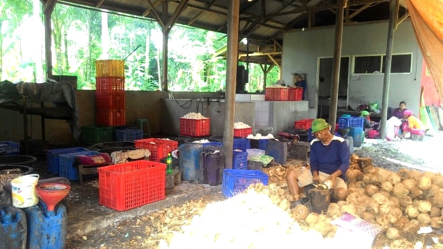 Usaha pengolahan kelapa milik Koperasi Produksi Mitra Kelapa (KPMK), Pangandarang, Jawa Barat.  (Foto: Dok. KPMK)