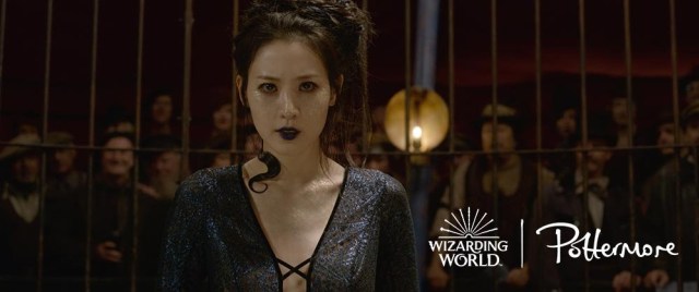 Ini Kata Claudia Kim Soal Perannya Sebagai Nagini di Fantastic Beasts: The Crimes of Grindelwald (3)