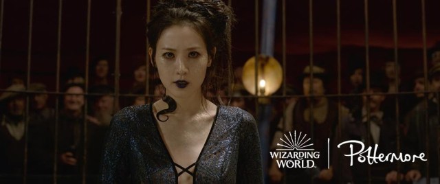 Ini Kata Claudia Kim Soal Perannya Sebagai Nagini di Fantastic Beasts: The Crimes of Grindelwald (1195649)