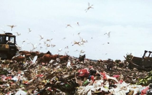 Mimpi Punya Pembangkit Listrik dari Sampah Kembali Bangkit di TPA Suwung