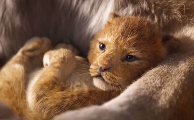 Disney Ungkap Teaser Trailer The Lion King Live Action, Waktunya Nostalgia! (2)
