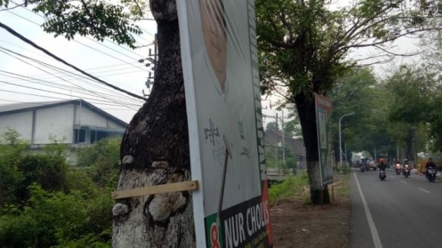 Banyak Temukan Baliho Kampanye Dipaku di Pohon, KIPP Sorot Kinerja Bawaslu