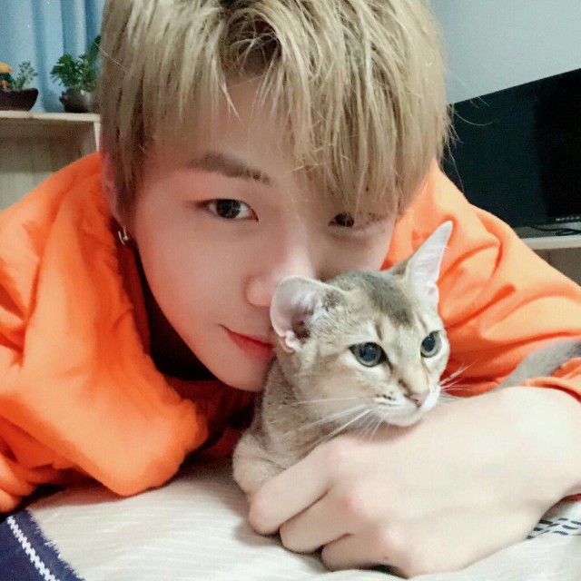 Tak Kalah Populer 7 Hewan Peliharaan Idol Ini Jadi Kesayangan