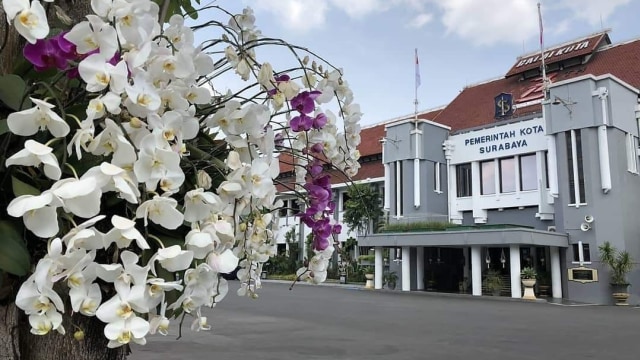 Pohon Anggrek di kantor pemerintahan Kota Surabaya. Foto: Phaksy Sukowati/kumparan