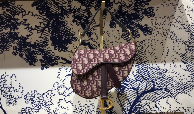 Dior Oblique Saddle bag. (Foto: Dok. Stephanie Elia/kumparan)