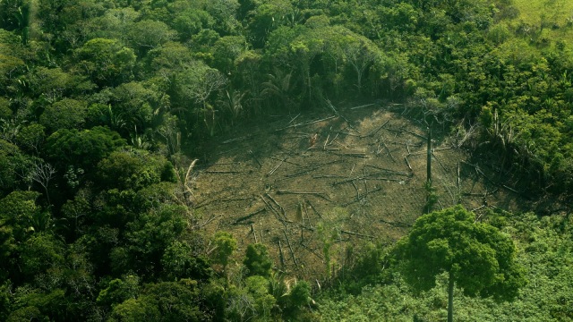 Gambar dari udara penggundulan hutan hujan Amazon, Brasil. (Foto: AFP/CARL DE SOUZA)
