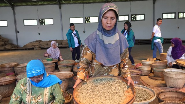 Seorang pekerja pabrik mengayak biji kopi. (Foto: Abdul Latif/kumparan)