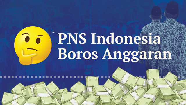 Infografik PNS Indonesia. (Foto: Putri Sarah Arifira/kumparan)