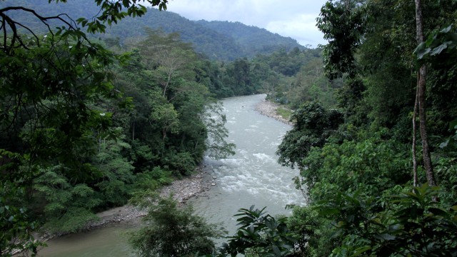 Taman Nasional Gunung Leuser. Foto: Zuhri Noviandi/kumparan