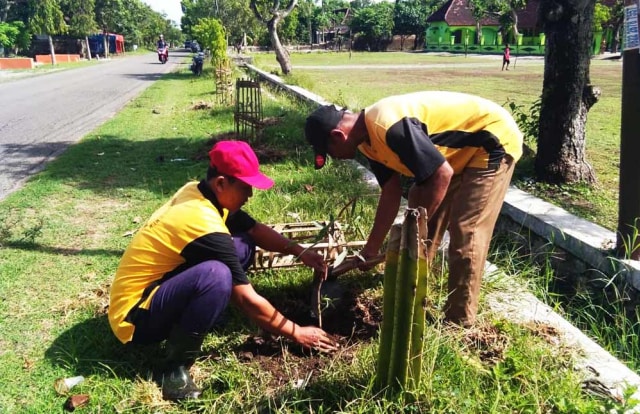 Pemkab Ponorogo Tanam 1.200 Pohon 'Bunga Sakura' Mirip di Surabaya
