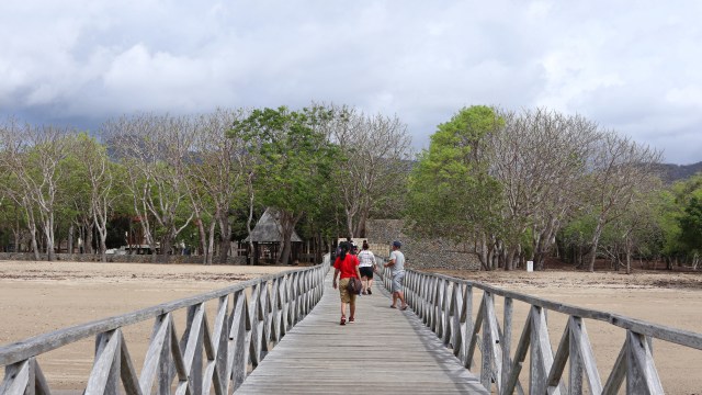 Wisata ala Jurassic Park di TN Komodo, Dirjen KSDAE: Saya Tidak Tahu dari Mana (117026)