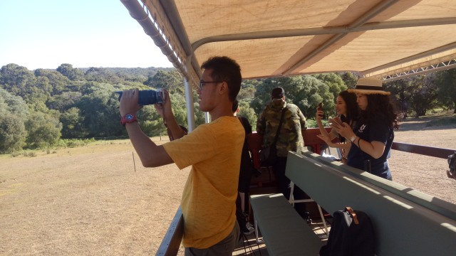 Peserta tour sedang 'berburu' kanguru dengan kamera. (Foto: Rossi Finza/kumparan)