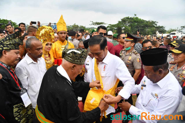 Pengurus LAM Riau Mengaku Tak Ada Rapat soal Jokowi Diberi Gelar Adat