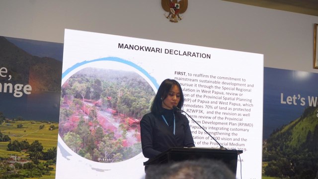 Direktur Pelaksana Yayasan EcoNusa Foundation, Melda Wita Sitompul, di COP24, Katowice, Polandia (Foto: Kelik Wahyu/kumparan)