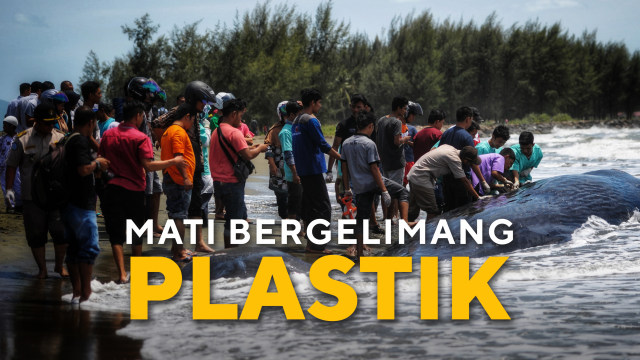 Spesial Konten Mati Bergelimang Plastik (Foto: REUTERS/Dave Kaup)