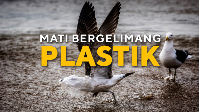 Spesial Konten Mati Bergelimang Plastik (Foto: REUTERS/Dave Kaup)