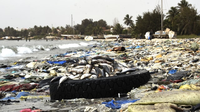 Sejumlah ikan mati diatas ban bekas yang dikelilingi sampah plastik, di Hann Bay di Dakar, Senegal. (Foto:  AFP/SEYLLOU)