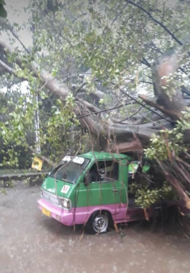 Sebuah mobil angkutan umum tertimpa pohon  tumbang akibat puting beliung di Kota Bogor.  (Foto: Dok. Istimewa)