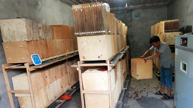 Warga menunjukkan lokasi ternak kecoak di kediamannya. (Foto: REUTERS / Thomas Suen)