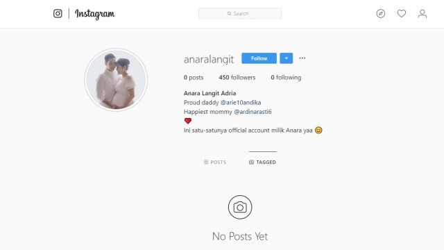 Akun Instagram milik anak Ardina Rasti dan Arie Dwi Andhika. (Foto: Screenshot Instagram @anaralangit)