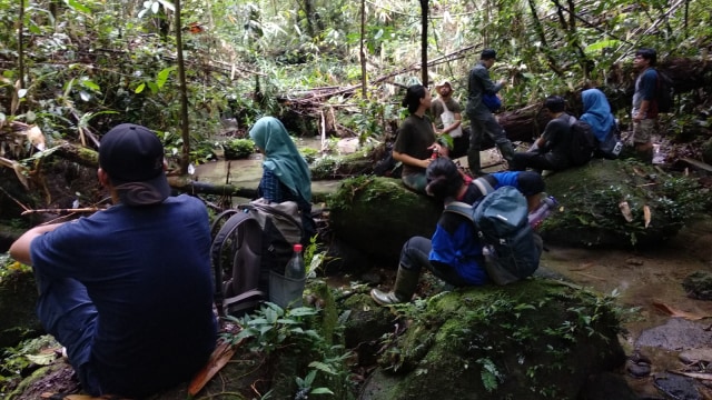 Suasana di Hutan Batang Toru yang masih alami. (Foto: Dok. Sumarwan/HII)