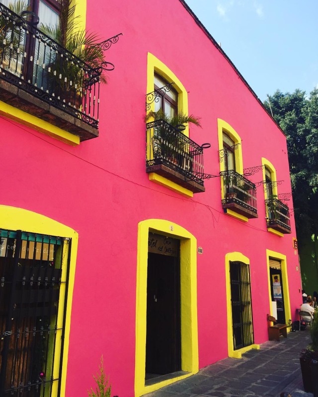 Café Santo Patrono yang Ada di Meksiko (Foto: Instagram (@jcarmengol))