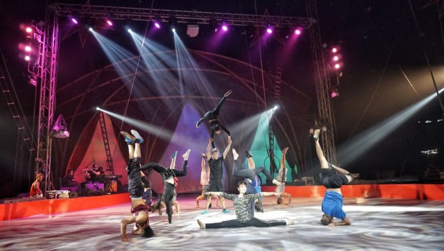 Pemain Oriental Circus Indonesia (OCI) berlatih akrobat dan trapeze jelang gelaran The Great 50 Show di Pintu I GBK. (Foto: Helmi Afandi/kumparan)